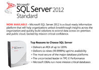 Norme de Microsoft SQL 2012, label standard de COA d'original de la milliseconde SQL 2012 pour le PC de Mac de Windows